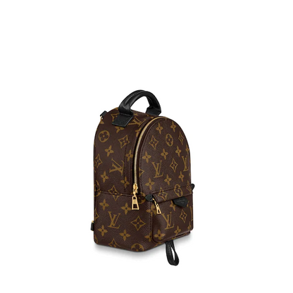 Louis Vuitton Palm Springs Backpack Mini Monogram