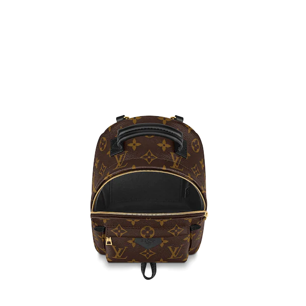 Louis Vuitton Palm Springs Backpack Mini Monogram