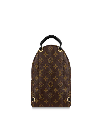 Louis Vuitton Palm Springs Backpack Mini Monogram