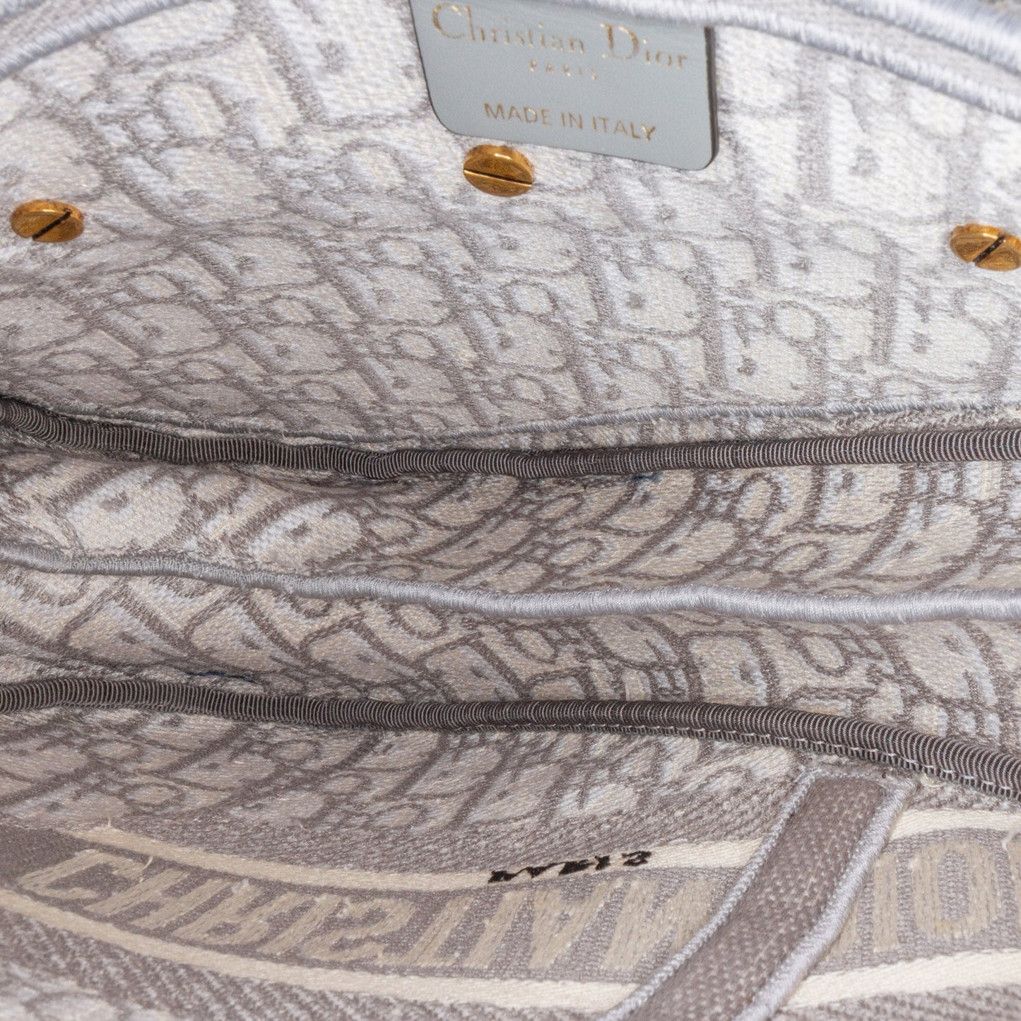 Oblique Embroidered Canvas Saddle Bag