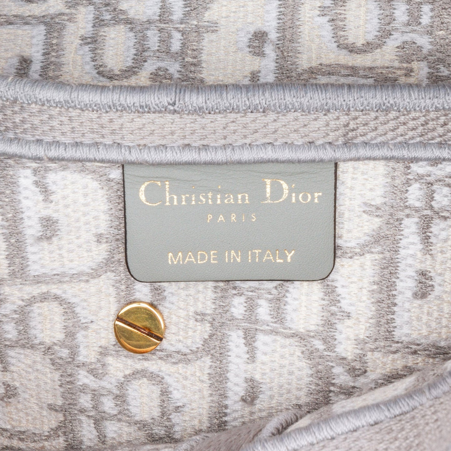 Oblique Embroidered Canvas Saddle Bag