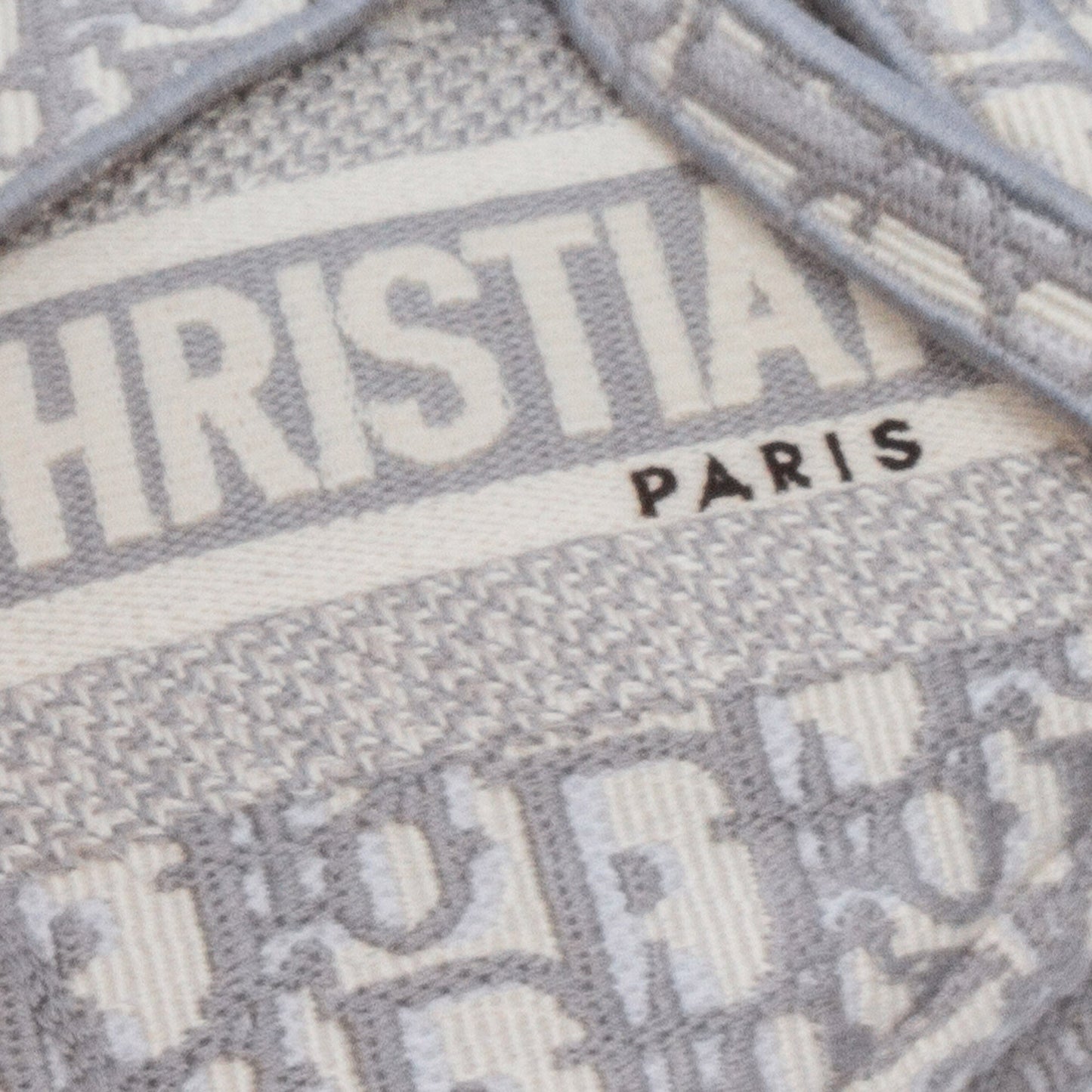 Oblique Embroidered Canvas Saddle Bag