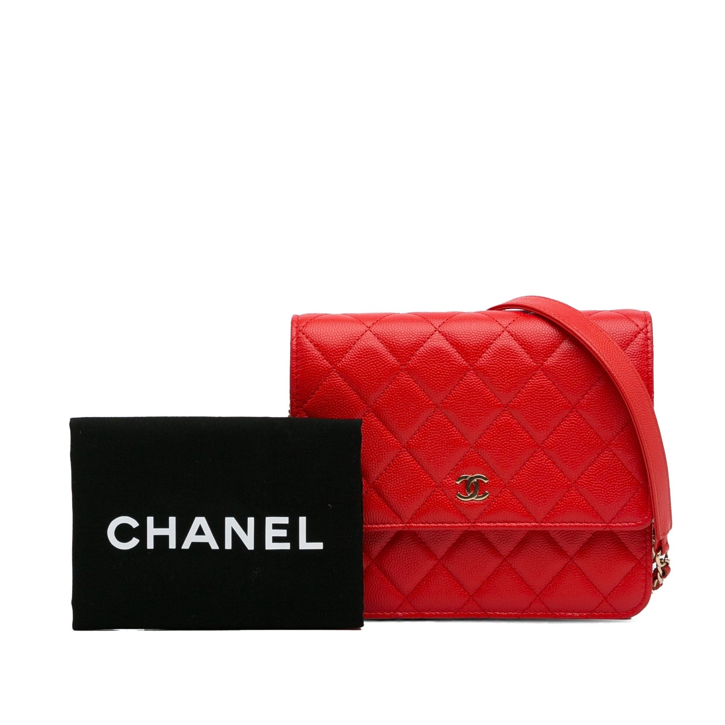 CHANEL Handbags Wallet On Chain Timeless/Classique