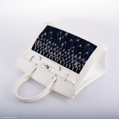 Hermes Birkin
