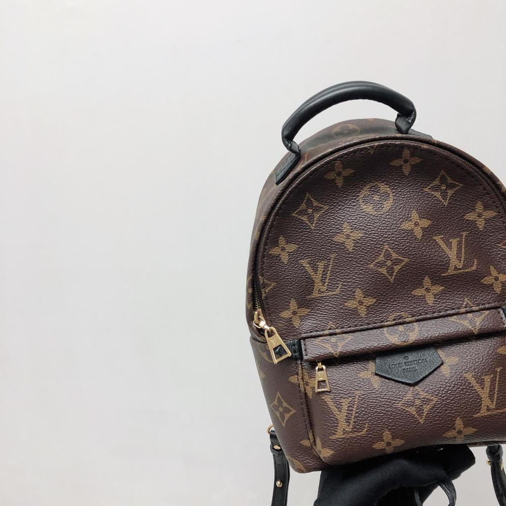Louis-Vuitton Palm Spring Mini Monogram