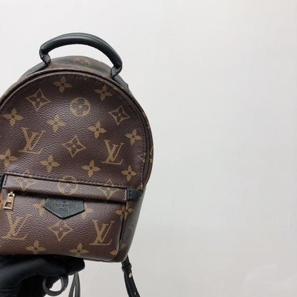 Louis-Vuitton Palm Spring Mini Monogram