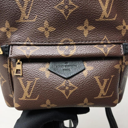 Louis-Vuitton Palm Spring Mini Monogram