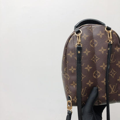 Louis-Vuitton Palm Spring Mini Monogram