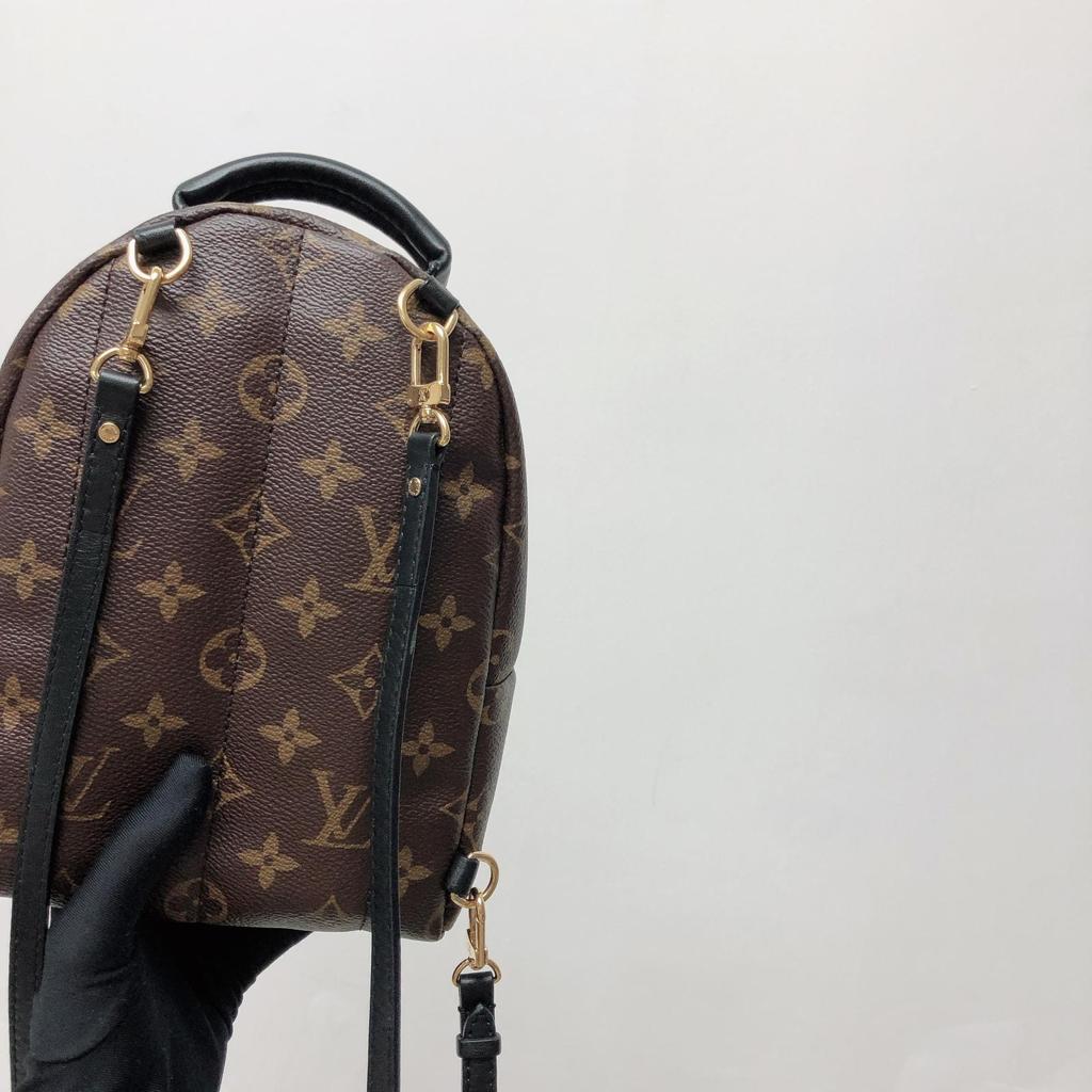 Louis-Vuitton Palm Spring Mini Monogram