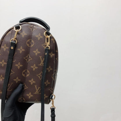 Louis-Vuitton Palm Spring Mini Monogram
