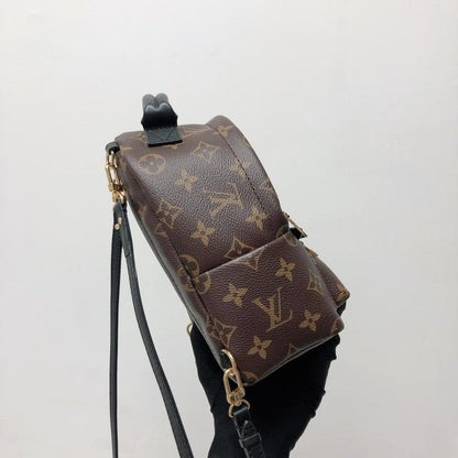 Louis-Vuitton Palm Spring Mini Monogram