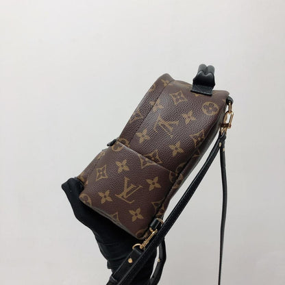 Louis-Vuitton Palm Spring Mini Monogram