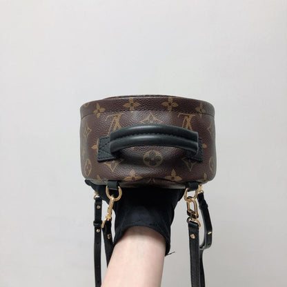 Louis-Vuitton Palm Spring Mini Monogram