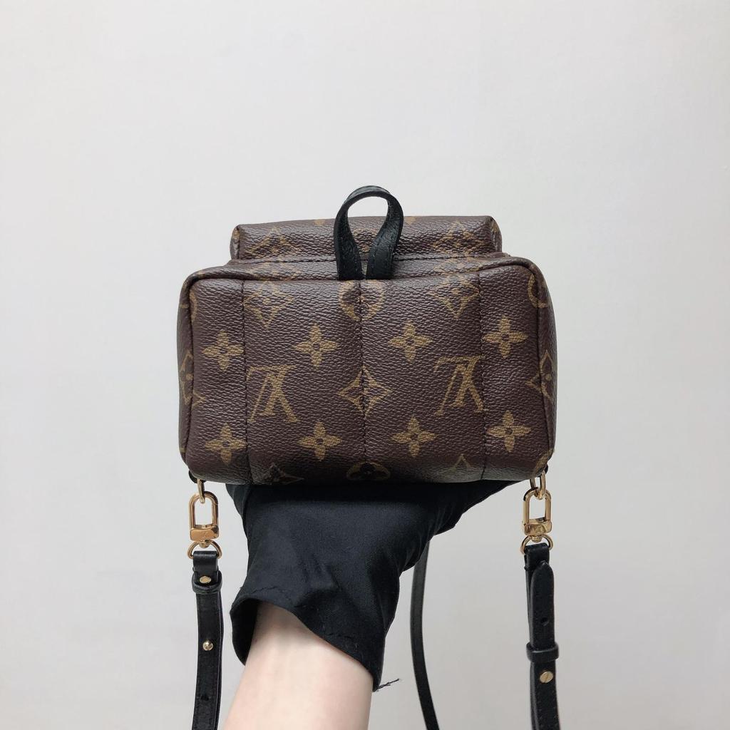 Louis-Vuitton Palm Spring Mini Monogram