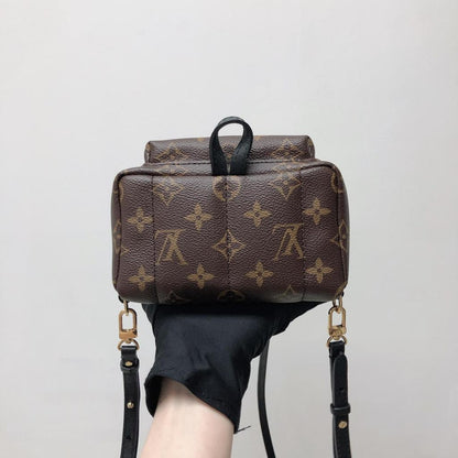 Louis-Vuitton Palm Spring Mini Monogram