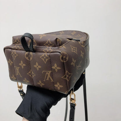 Louis-Vuitton Palm Spring Mini Monogram
