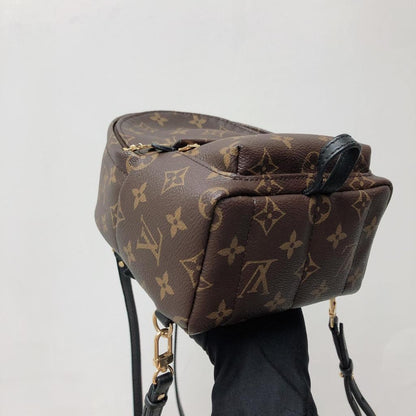 Louis-Vuitton Palm Spring Mini Monogram