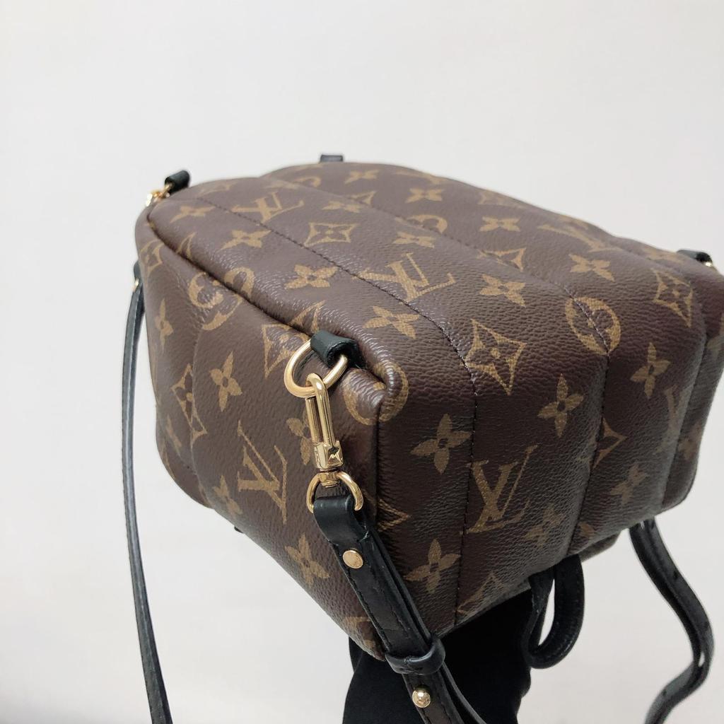 Louis-Vuitton Palm Spring Mini Monogram