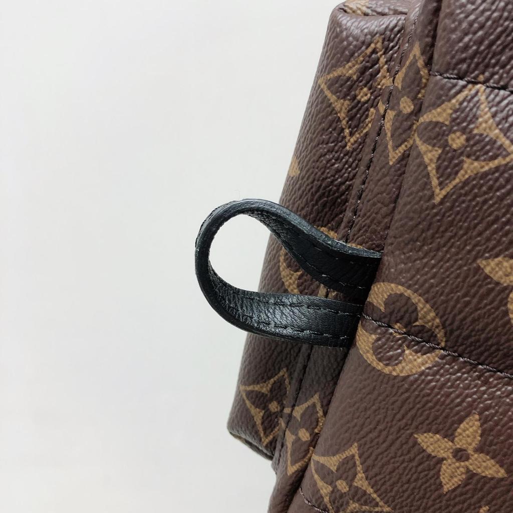 Louis-Vuitton Palm Spring Mini Monogram