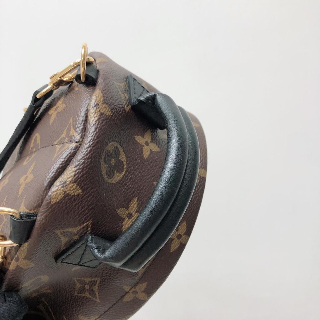 Louis-Vuitton Palm Spring Mini Monogram