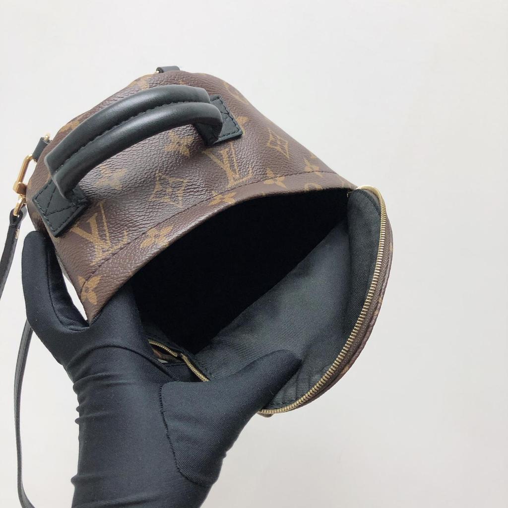 Louis-Vuitton Palm Spring Mini Monogram