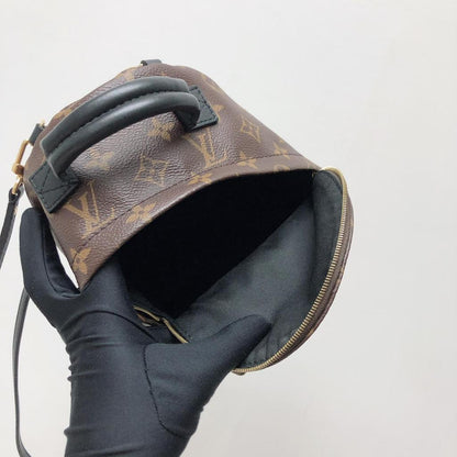 Louis-Vuitton Palm Spring Mini Monogram