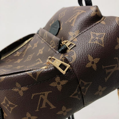 Louis-Vuitton Palm Spring Mini Monogram