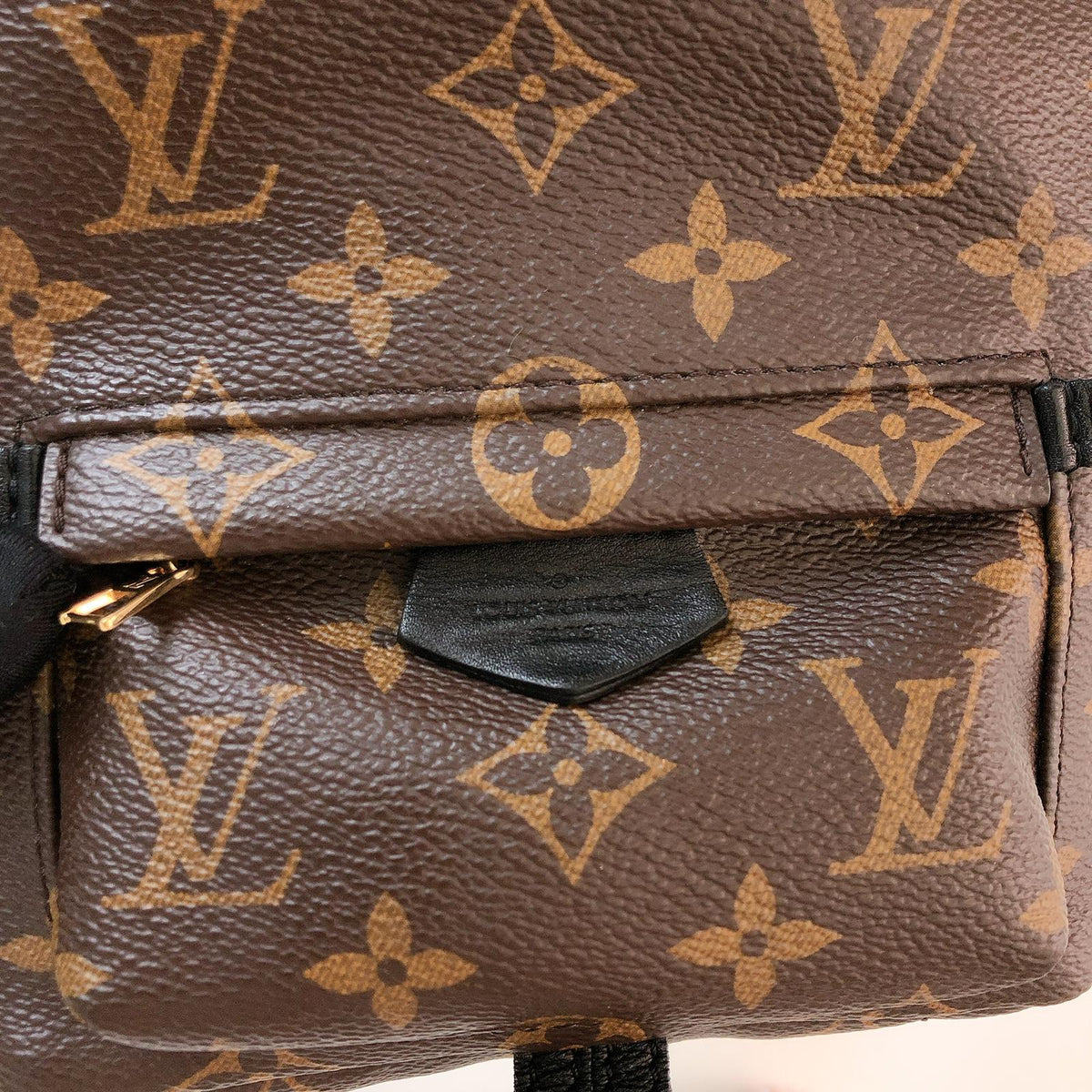 Louis-Vuitton Palm Springs Monogram Mini Backpack
