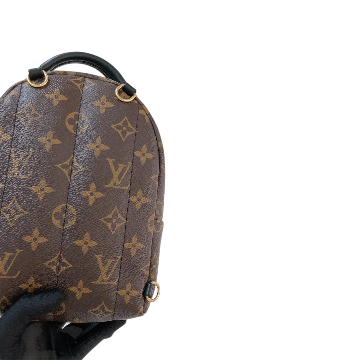 Louis-Vuitton Palm Springs Monogram Mini Backpack