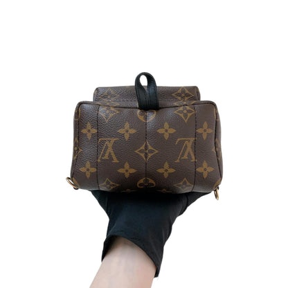 Louis-Vuitton Palm Springs Monogram Mini Backpack