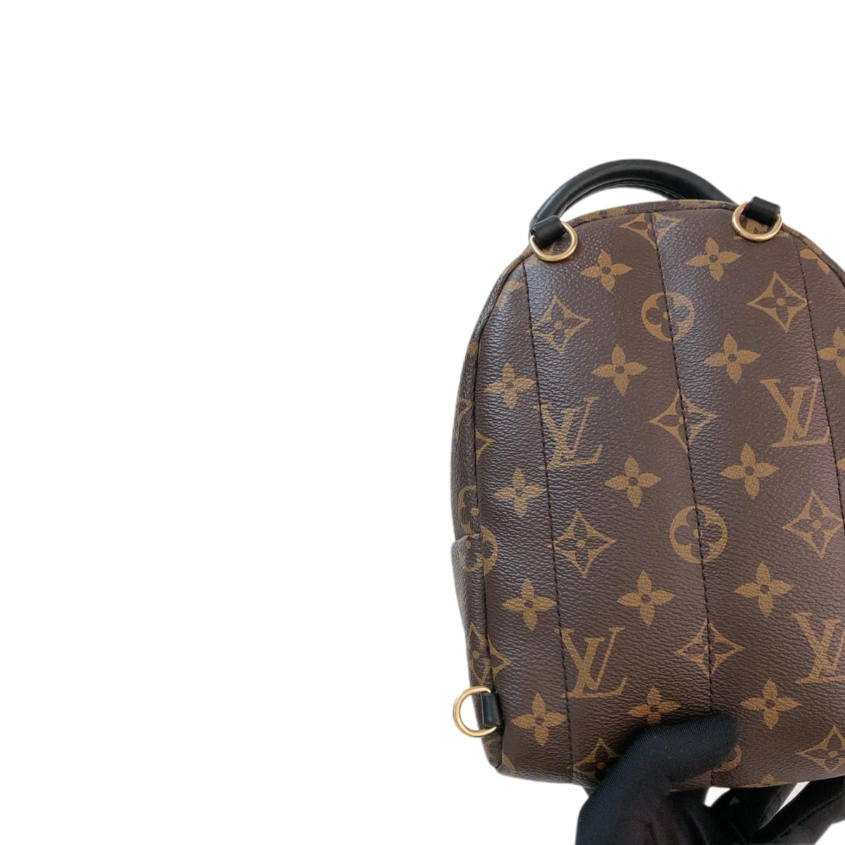 Louis-Vuitton Palm Springs Monogram Mini Backpack