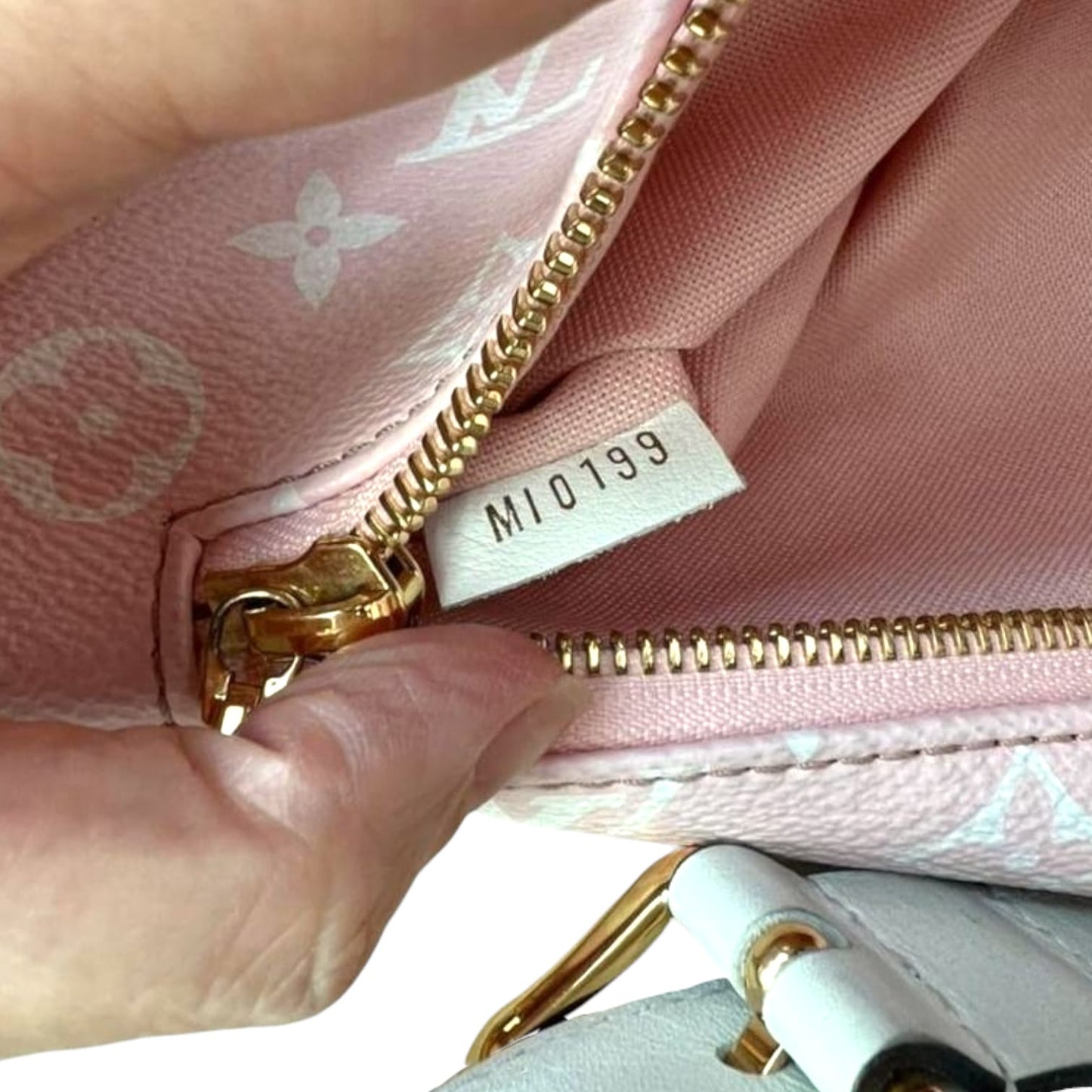 Louis-Vuitton Monogram Giant Bum Bag Red Pink White Black GHW