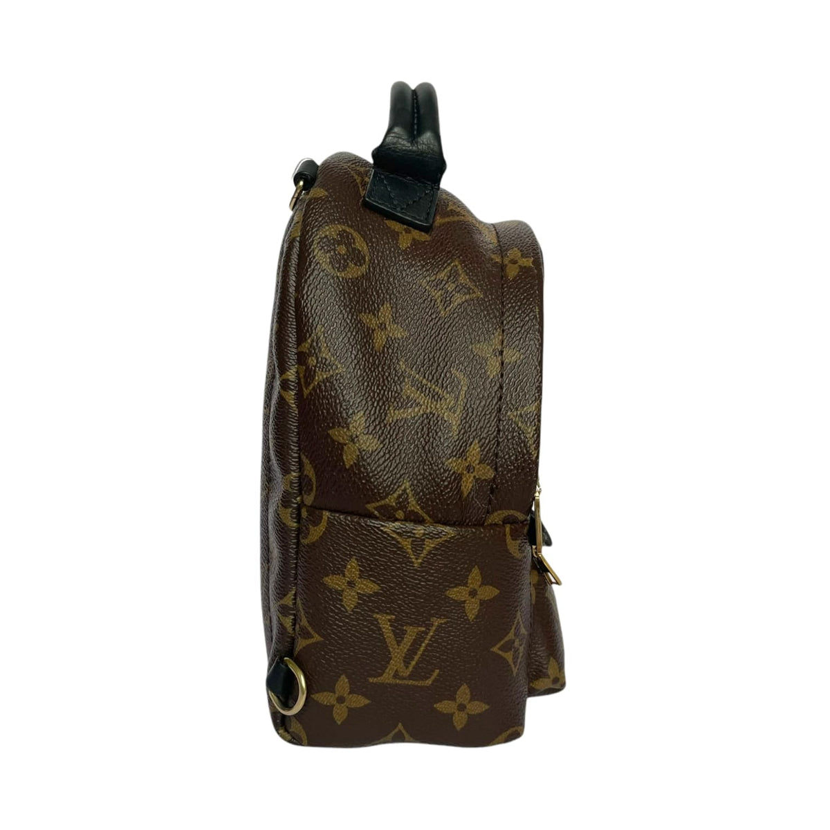 Louis-Vuitton Mini Palm Springs Monogram GHW