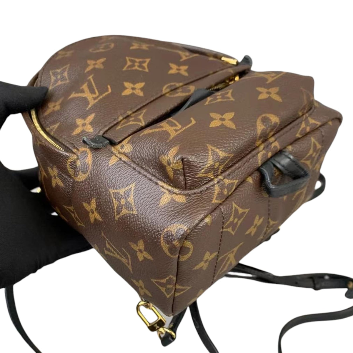 Louis-Vuitton Mini Palm Springs Monogram GHW