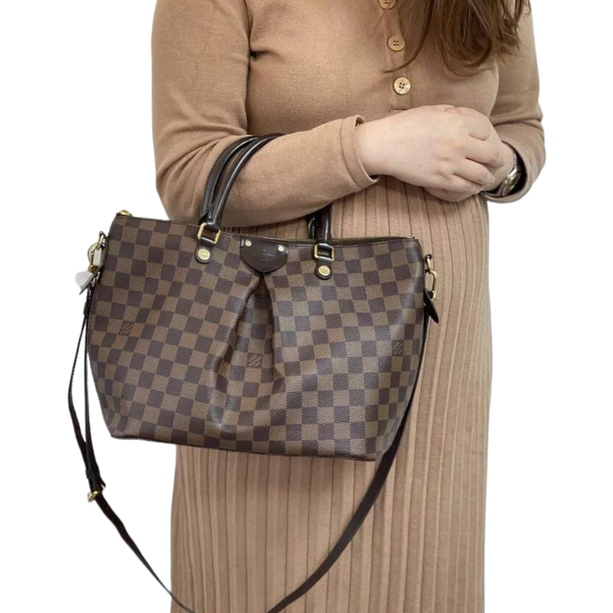 Louis-Vuitton PM Damier Ebène Siena Canvas GHW