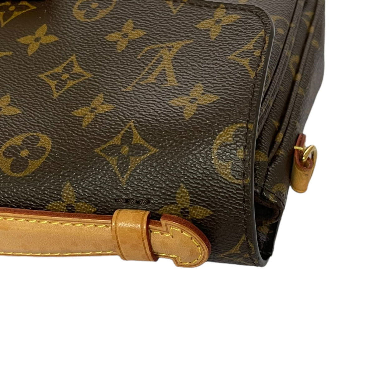 Louis-Vuitton Monogram Classic Pochette Métis GHW