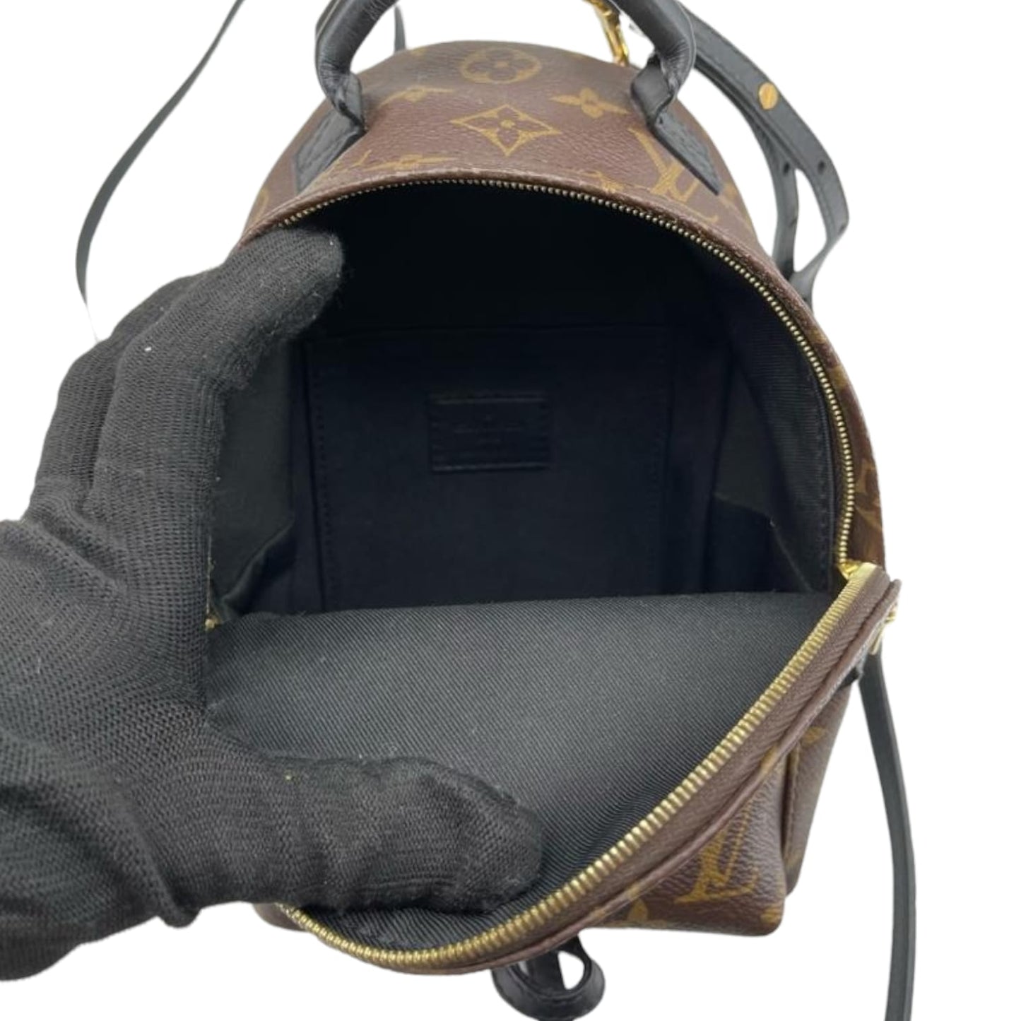 Louis-Vuitton Mini Palm Springs Monogram GHW