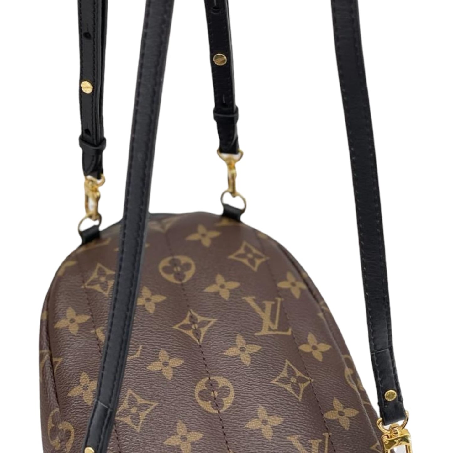 Louis-Vuitton Mini Palm Springs Monogram GHW