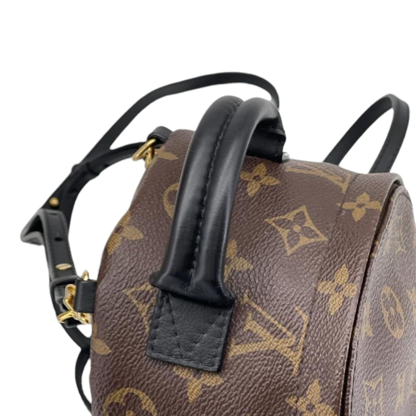 Louis-Vuitton Mini Palm Springs Monogram GHW