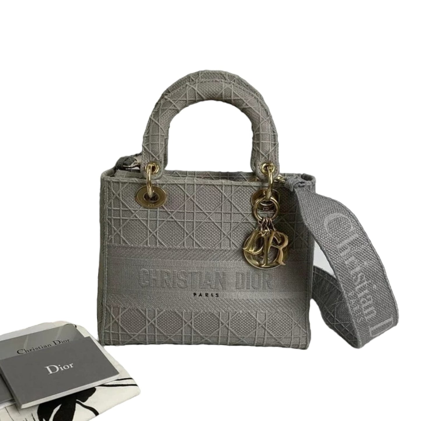 Medium Lady D-Lite  Canvas Embroidered Grey GHW
