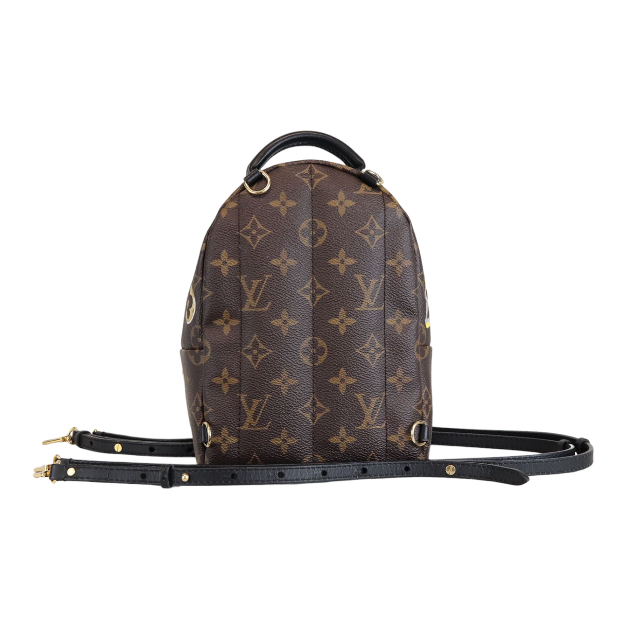 Louis-Vuitton Monogram Love Lock Mini Palm Springs Backpack