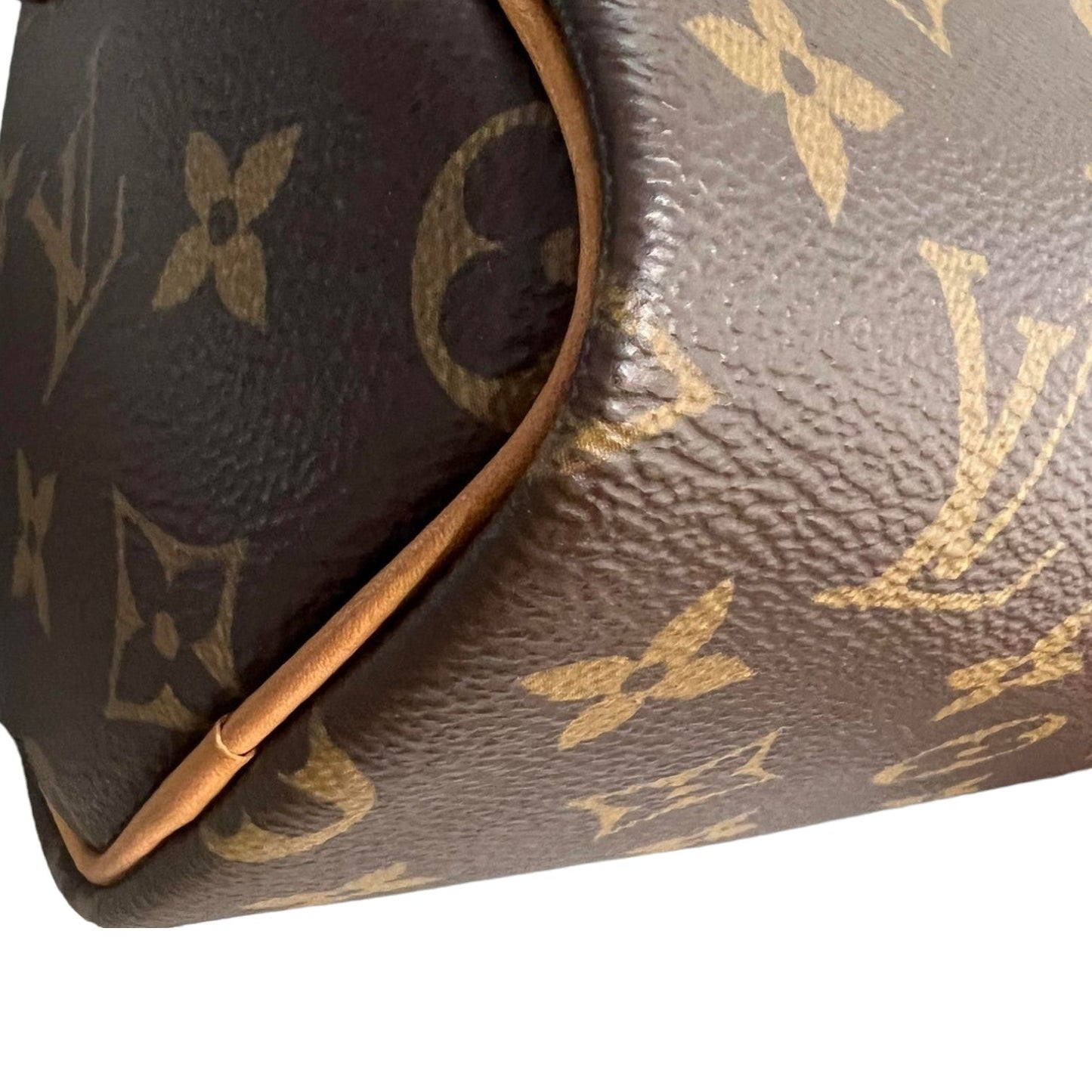 Louis-Vuitton Speedy Mini Monogram Brown GHW