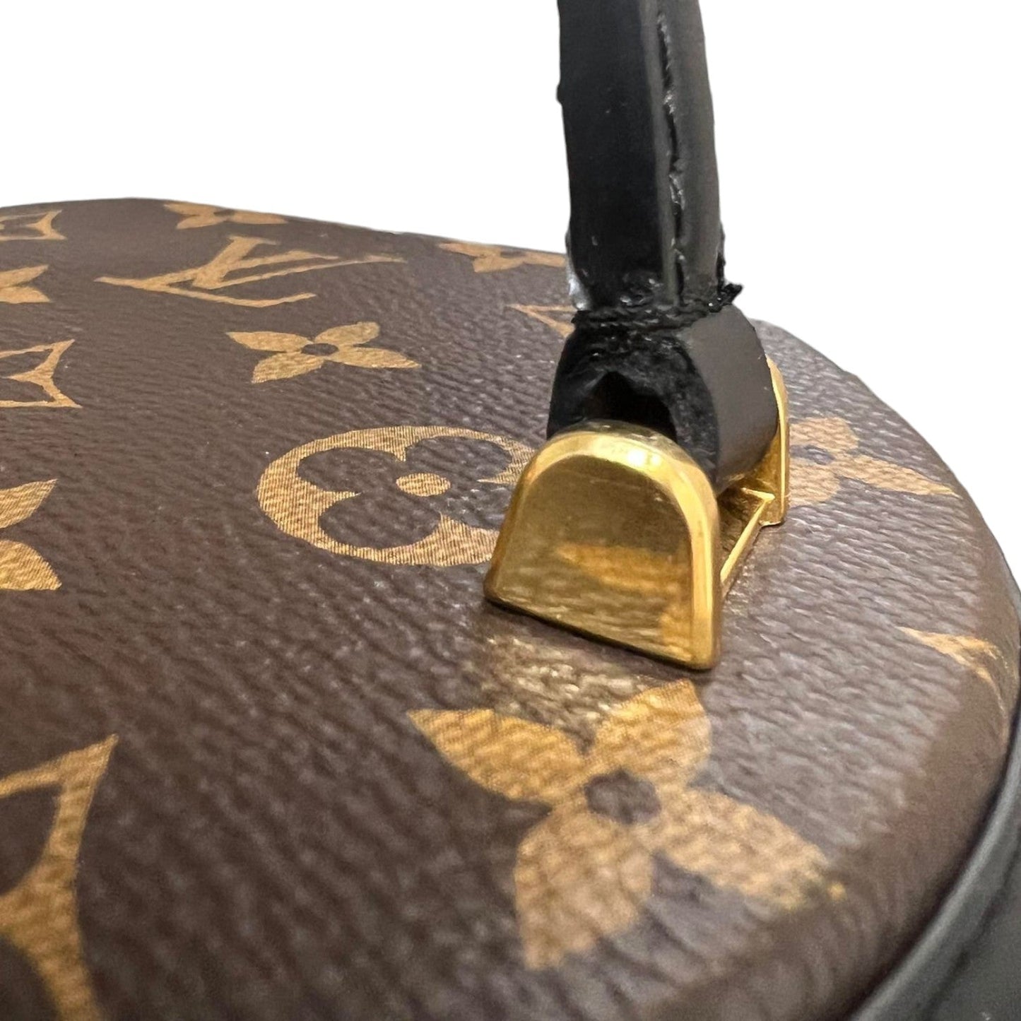 Louis-Vuitton Cannes Reverse Monogram Brown GHW