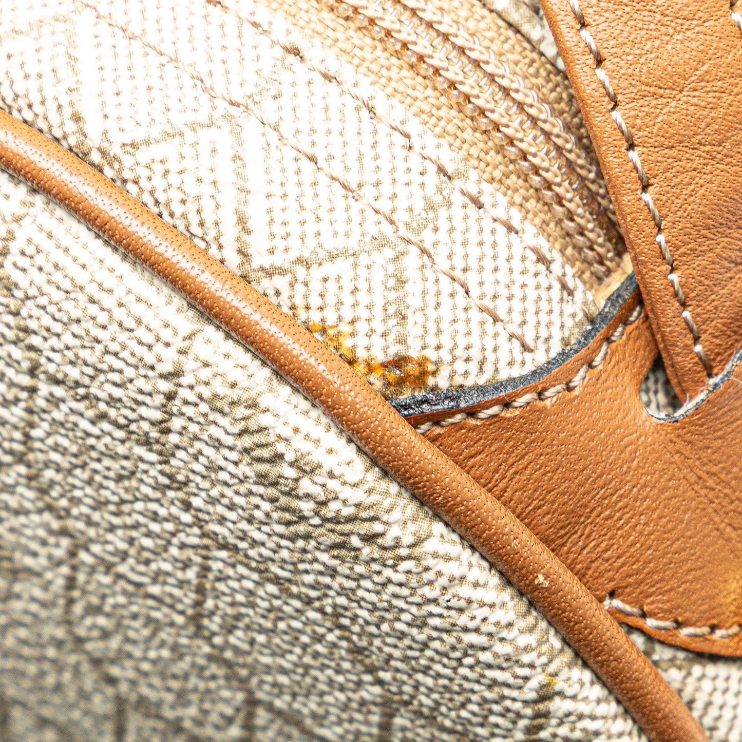 Honeycomb Coated Canvas Crossbody