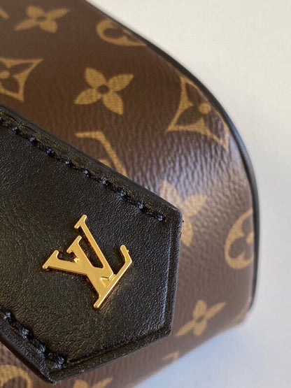 Louis Vuitton Vanity PM ( Lushentic Version)