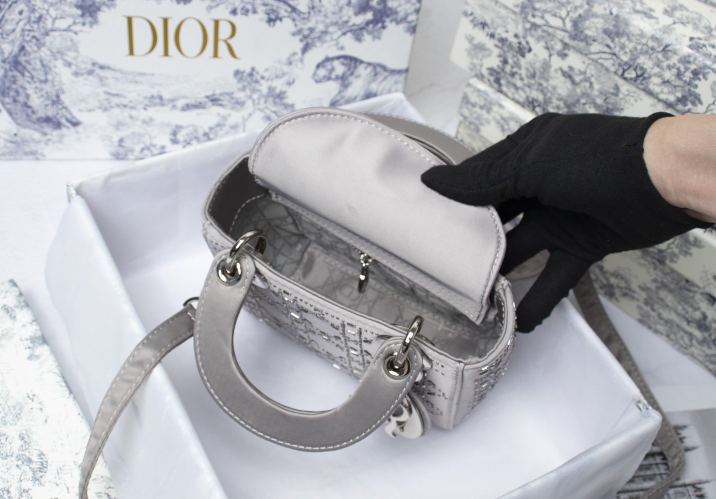 Luxury Edition Bags DIR 231