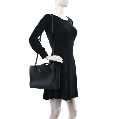 Chanel Bullskin Stitched Bi-Color Medium