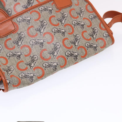 Celine C Macadam Canvas Shoulder Bag Gray  bs7140