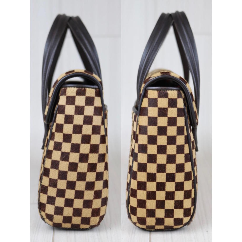 Rank SA ｜   LV Damier Sauvage Calf Hair Handbag ｜090903