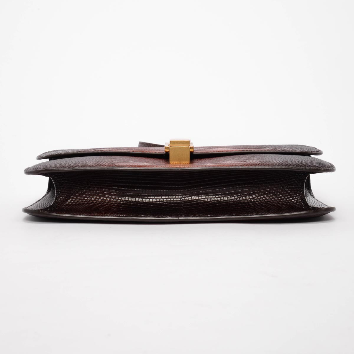 Saint Laurent Dark Brown Ombre Lizard Le Carre Bag